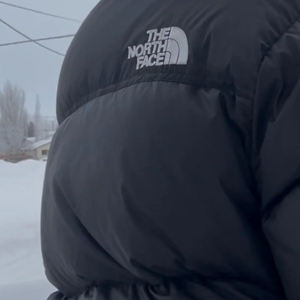 The North Face Nuptse Classic Black Puffer Coat - Picture 2 of 3